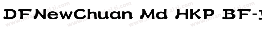 DFNewChuan Md HKP BF字体转换
